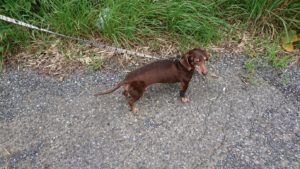 夜のお時間 2019/7/5