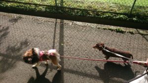 夜のお時間 2019/7/8