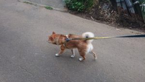 夜のお時間 2019/7/20