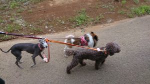 夜のお時間 2019/7/11