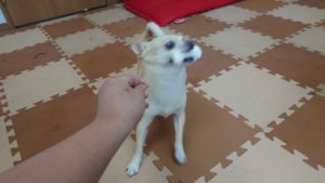 昼のお時間 2019/7/15