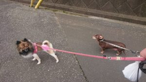 朝のお時間 2019/7/9