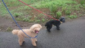 朝のお時間 2019/7/2