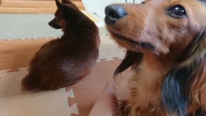 昼のお時間 2019/7/18