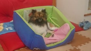 昼のお時間 2019/7/2