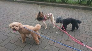 夜のお時間  2019/7/2