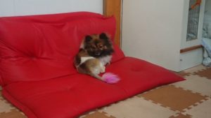 昼のお時間 2019/7/6