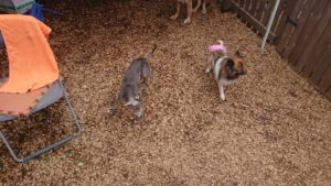 昼のお時間 2019/7/9