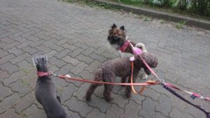 夜のお時間 2019/7/9