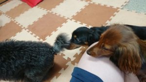 午後のお時間 2019/7/12