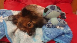 昼のお時間 2019/7/3