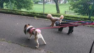 夜のお時間 2019/7/3