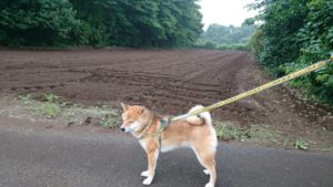 朝のお時間 2019/7/21