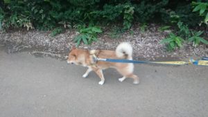 夜のお時間 2019/7/21