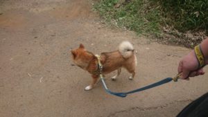 朝のお時間 2019/7/22