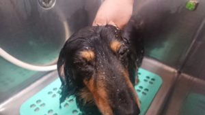 昼のお時間 2019/7/22