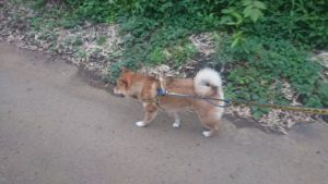 夜のお時間 2019/7/22