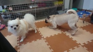 昼のお時間 2019/7/23