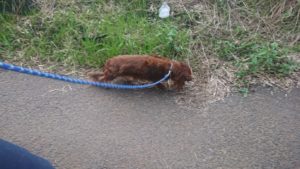 夜のお時間 2019/7/23