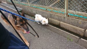 朝のお時間 2019/7/24