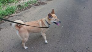 夜のお時間 2019/7/24