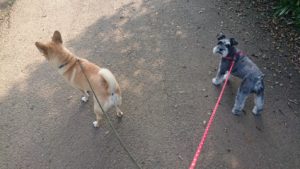 朝のお時間 2019/7/25