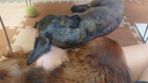 昼のお時間 2019/7/25