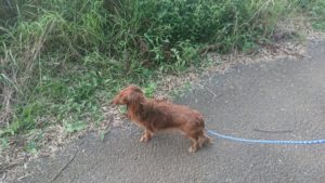 夜のお時間 2019/7/25