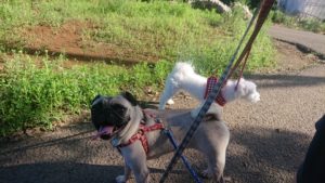 朝のお時間 2019/7/26