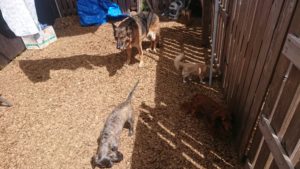 昼のお時間 2019/7/26