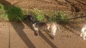 夜のお時間 2019/7/26