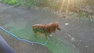 夜のお時間 2019/7/27