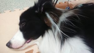 昼のお時間 2019/7/28