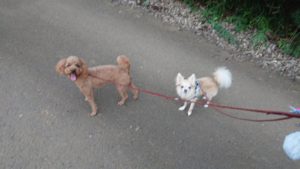 夜のお時間 2019/7/28