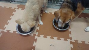 朝のお時間  2019/7/29