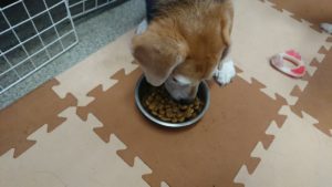 昼のお時間 2019/7/29