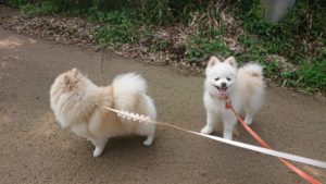 朝のお時間 2019/7/30