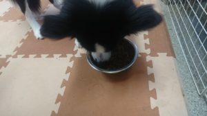 お昼のお時間 2019/7/30