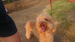 夜のお時間 2019/7/30