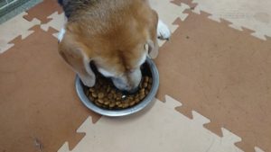 昼のお時間 2019/7/31