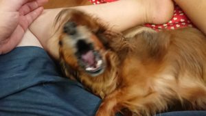 今のうちに！！！