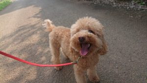 朝のお時間 2019/8/1