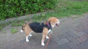 夜のお時間 2019/8/1