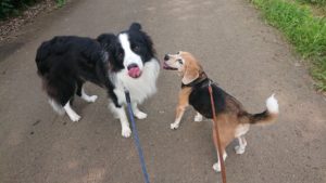 朝のお時間 2019/8/2