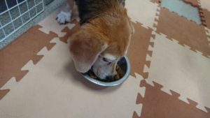 昼のお時間 2019/8/2