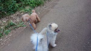 夜のお時間 2019/8/2