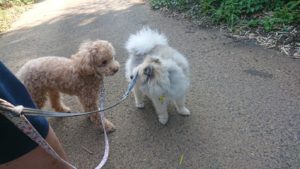 朝のお時間 2019/8/3