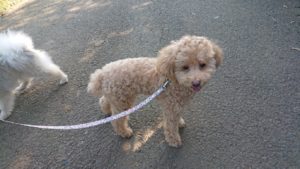 朝のお時間 2019/8/4