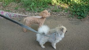 夜のお時間 2019/8/4