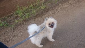 朝のお時間 2019/8/5